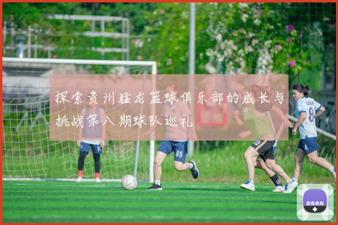 探索贵州猛龙篮球俱乐部的成长与挑战第八期球队巡礼