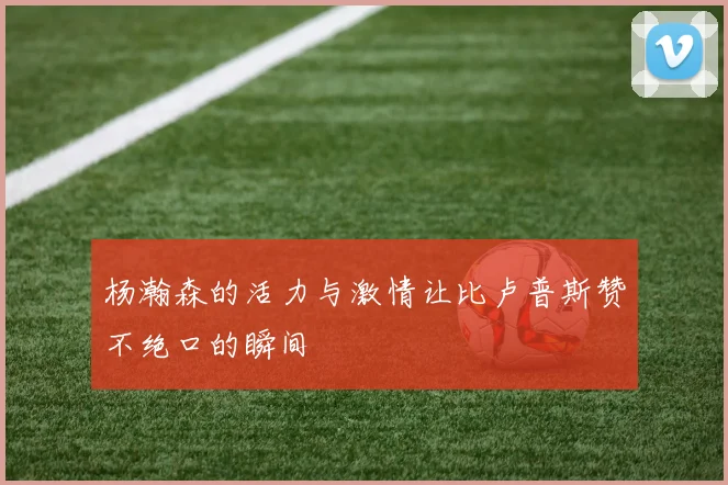 杨瀚森的活力与激情让比卢普斯赞不绝口的瞬间
