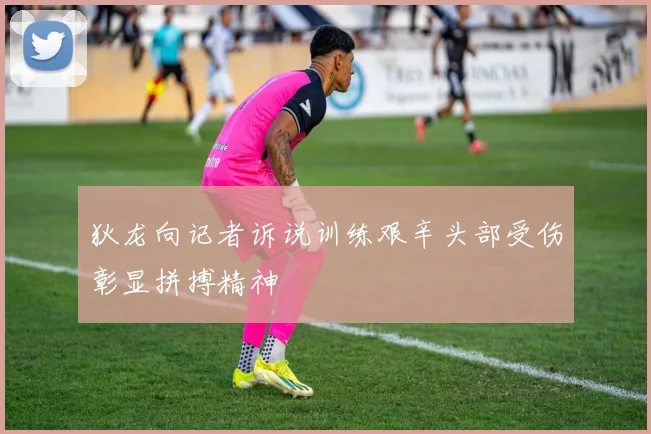 狄龙向记者诉说训练艰辛头部受伤彰显拼搏精神