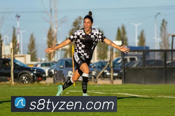 速8体育平台生态图