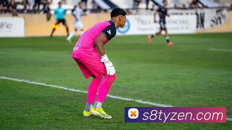 速8体育APP 封面图